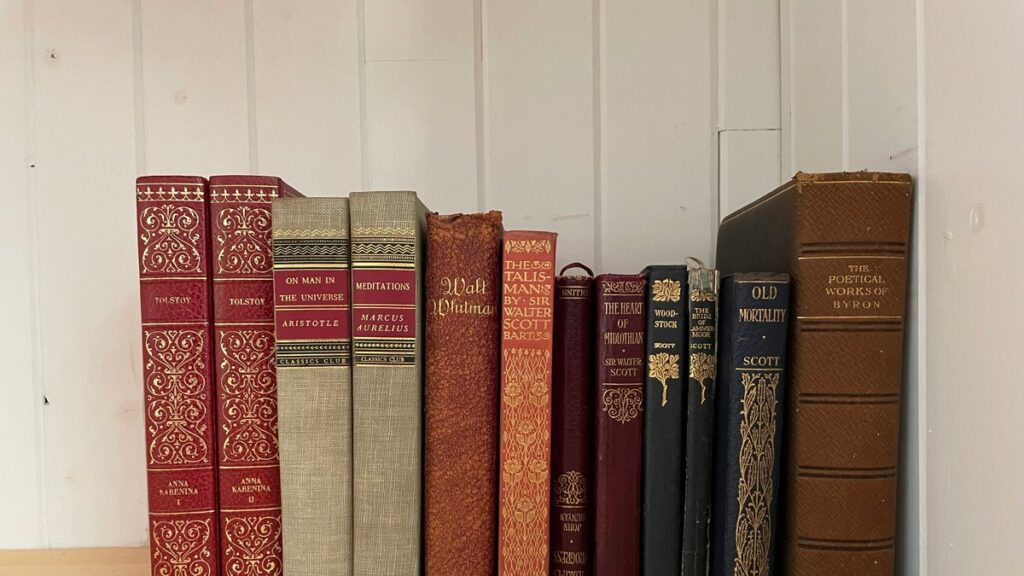 a row of books sitting on top of a wooden shelf